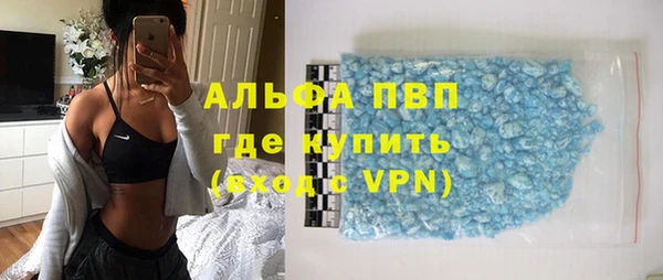 стафф Алзамай