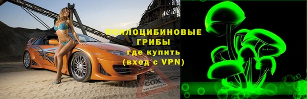 стафф Алзамай