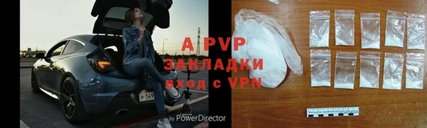 стафф Алзамай