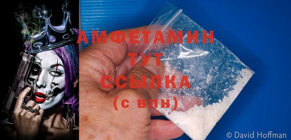 стафф Алзамай