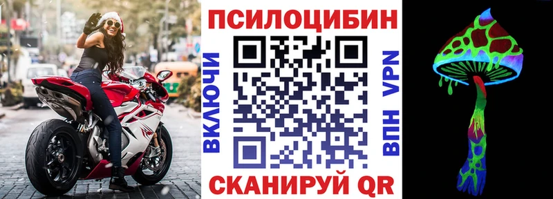 Псилоцибиновые грибы Psilocybe  Купить  Славянск-на-Кубани 